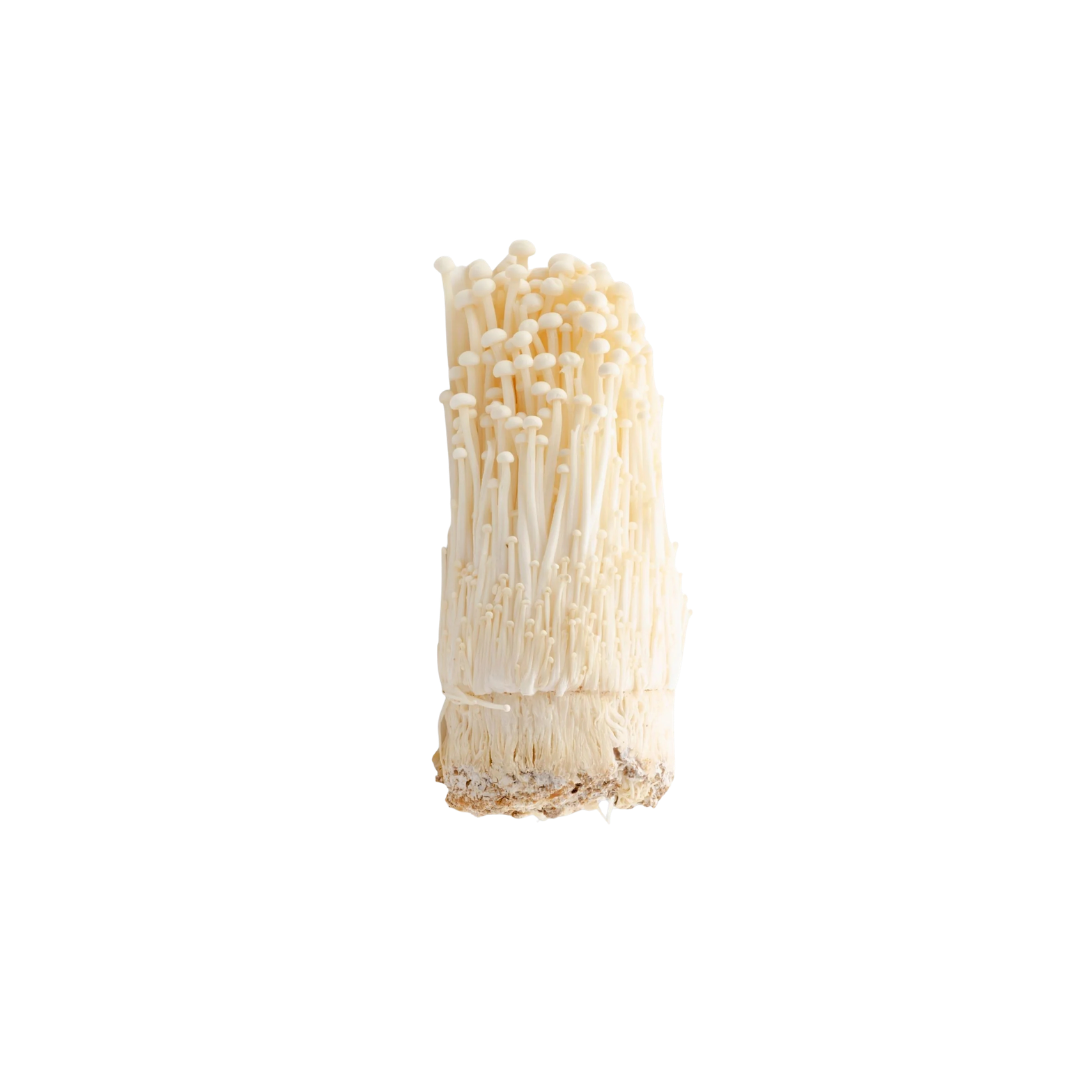 Enoki Mushroom 100g