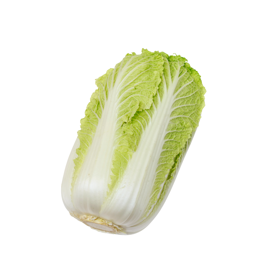 Chinese Cabbage Large